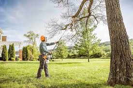 How Our Tree Care Process Works  in  Pine Ridge, PA